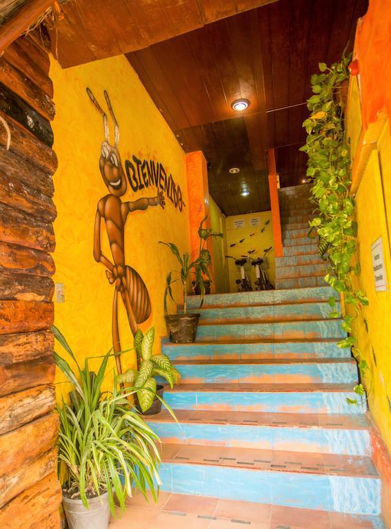 Hotel El Hormiguero Playa del Carmen Exterior foto